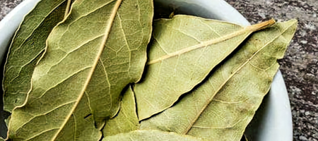 Očistná kúra z bobkového listu